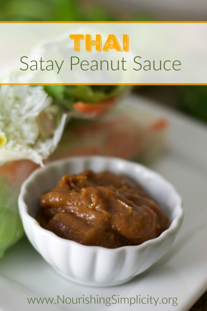Homemade Peanut Satay Sauce 110