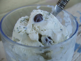 Glass cup with a scoop of white cream with flecks of green mint, and chocolate chips.