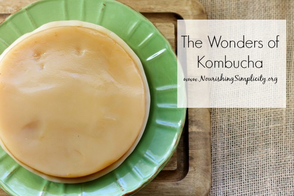 The Wonders of Kombucha- www.NourishingSimplicityorg