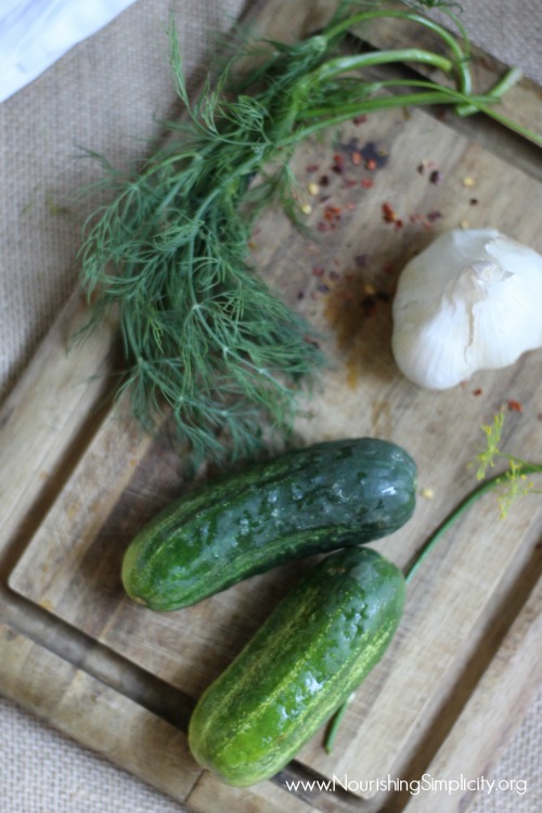 Old-Fashioned Dill Pickles in a Salt Brine- Nourishing Simplicity