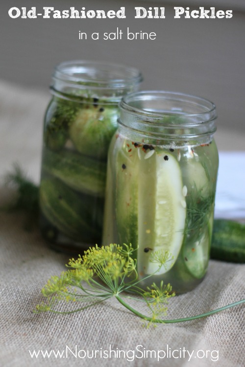 Old-Fashioned Dill Pickles in a salt brine- Nourishing Simplicity