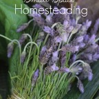 10 Tips for Small Space Homesteading