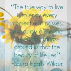 There is Beauty Everywhere You Look