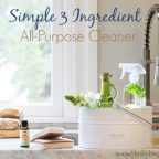 Simple 3 Ingredient All-Purpose Cleaner